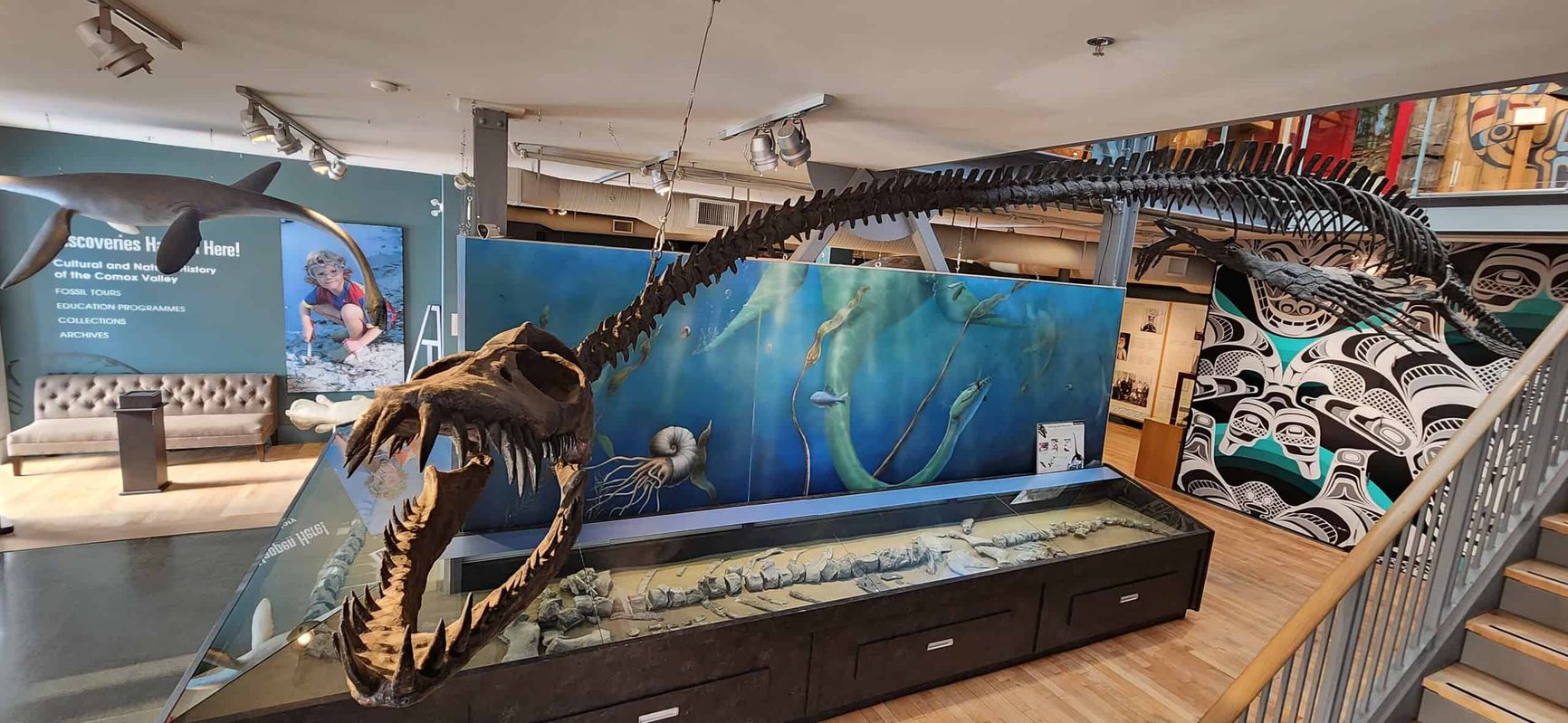 Traskasaura в палеонтологическом музее Кортни (Британская Колумбия, Канада)